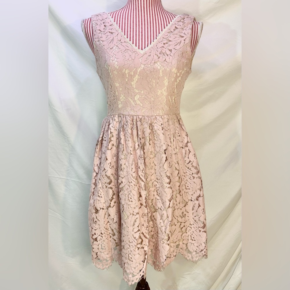 Altar’d State Pink Lace Floral Coquette Dainty A-Line Mini Tea Dress Size XS